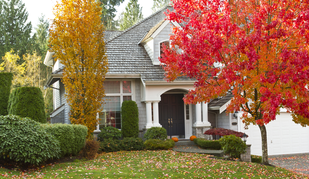 House Exterior Curb Appeal in Autumn